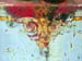 detail4