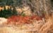 landscape4
